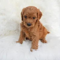 processed/af1c43b5-18c7-4792-ab92-bf1d6a1b09fa/facility/e6057dd7-a199-41af-9e88-8622e69e9af2