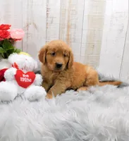 processed/af1c43b5-18c7-4792-ab92-bf1d6a1b09fa/facility/f0ba8e2c-ae93-472c-86aa-bcbf0b4bdcc4