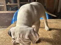 processed/af291dcd-ad43-4b8c-8f75-94db92f858d2/listing/8e3e9536-c3d2-426a-bb2c-246d24d1cb18/101cb9eb-3755-486b-9a18-d5b871ff8fd2