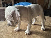 processed/af291dcd-ad43-4b8c-8f75-94db92f858d2/listing/8e3e9536-c3d2-426a-bb2c-246d24d1cb18/6f221cf0-f72f-4a85-8a7d-ff903c134021