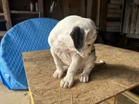 processed/af291dcd-ad43-4b8c-8f75-94db92f858d2/listing/8e3e9536-c3d2-426a-bb2c-246d24d1cb18/9d0e612f-185b-4a85-a86c-c6192488a57e