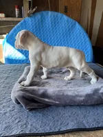 processed/af291dcd-ad43-4b8c-8f75-94db92f858d2/listing/8e3e9536-c3d2-426a-bb2c-246d24d1cb18/c24e10dc-ee3e-4b86-b6fd-39c3d336f338