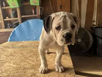 processed/af291dcd-ad43-4b8c-8f75-94db92f858d2/listing/8e3e9536-c3d2-426a-bb2c-246d24d1cb18/f9d58174-45ff-4e2d-b422-e1b8db549fda