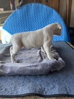 processed/af291dcd-ad43-4b8c-8f75-94db92f858d2/listing/b7072e9d-85a3-49e8-b833-1874e0101844/20d89e41-c7f8-4ada-aea1-b90c188b5976