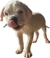 processed/af291dcd-ad43-4b8c-8f75-94db92f858d2/listing/b7072e9d-85a3-49e8-b833-1874e0101844/9b3b4e2b-2ee1-4bc7-853a-bd7261fae3ce