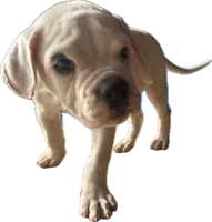 processed/af291dcd-ad43-4b8c-8f75-94db92f858d2/listing/b7072e9d-85a3-49e8-b833-1874e0101844/a3eb3dae-257e-4235-85c3-353be966ffc4