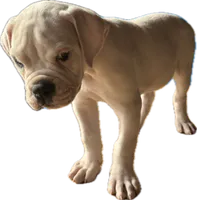 processed/af291dcd-ad43-4b8c-8f75-94db92f858d2/listing/b7072e9d-85a3-49e8-b833-1874e0101844/b549ca99-9565-4f50-816c-eac52654e2d7