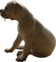 processed/af291dcd-ad43-4b8c-8f75-94db92f858d2/listing/b7072e9d-85a3-49e8-b833-1874e0101844/cced819c-d788-4fd7-b095-e5c7dc144400