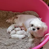 processed/af2b8a0c-2d06-43ad-b6f1-0cde6fc310ea/facility/b33e6610-06c0-4ee5-a2e9-cd40cd8bb62d