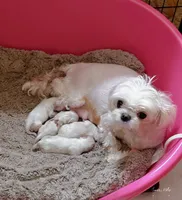 processed/af2b8a0c-2d06-43ad-b6f1-0cde6fc310ea/facility/b33e6610-06c0-4ee5-a2e9-cd40cd8bb62d