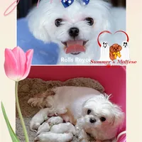 processed/af2b8a0c-2d06-43ad-b6f1-0cde6fc310ea/facility/cc3a9a5d-ab0f-4078-ae3e-6ad377af0007