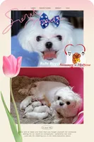 processed/af2b8a0c-2d06-43ad-b6f1-0cde6fc310ea/facility/cc3a9a5d-ab0f-4078-ae3e-6ad377af0007