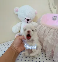 processed/af2b8a0c-2d06-43ad-b6f1-0cde6fc310ea/listing/17c11bd8-5479-47c2-9d37-ac9c87f843b6/5435cae7-ff45-4237-ab24-a9d92939668e