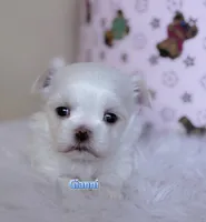 processed/af2b8a0c-2d06-43ad-b6f1-0cde6fc310ea/listing/17c11bd8-5479-47c2-9d37-ac9c87f843b6/95b4fddb-3f61-4a1b-8b84-ca32f1421b92