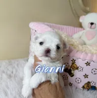 processed/af2b8a0c-2d06-43ad-b6f1-0cde6fc310ea/listing/17c11bd8-5479-47c2-9d37-ac9c87f843b6/df1ab8b1-d212-4656-97ac-a642a440e007