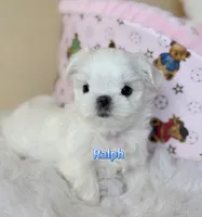 processed/af2b8a0c-2d06-43ad-b6f1-0cde6fc310ea/listing/3de27300-0772-42c1-806c-5bd6749016f9/7dc447f3-2462-45fb-8ce6-ac51021879a9