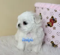 processed/af2b8a0c-2d06-43ad-b6f1-0cde6fc310ea/listing/3de27300-0772-42c1-806c-5bd6749016f9/8bdff550-e9fe-43dc-b9aa-6a03828cebf0