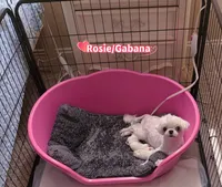 processed/af2b8a0c-2d06-43ad-b6f1-0cde6fc310ea/listing/3de27300-0772-42c1-806c-5bd6749016f9/f48bbd0a-be14-412e-9929-09caecacd241