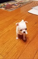 processed/af35943d-1fb3-4c2b-8632-84f0fe83108d/facility/1ed73a0c-27d2-4387-96d9-f8047869559d