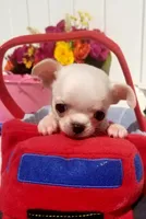 processed/af35943d-1fb3-4c2b-8632-84f0fe83108d/facility/30106322-33b7-4ffe-a6c0-c44cde9141f1