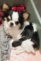 processed/af35943d-1fb3-4c2b-8632-84f0fe83108d/facility/6f89318b-9e89-44a1-9e12-0e749afa436d