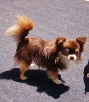 processed/af35943d-1fb3-4c2b-8632-84f0fe83108d/facility/8d9929d9-4fdc-415e-8872-16dd5c38d7b9