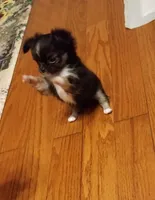 processed/af35943d-1fb3-4c2b-8632-84f0fe83108d/facility/da0d2612-4147-4e31-92bc-4cac5208caa6