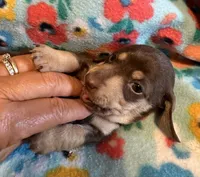 processed/af3b9fb2-5257-46c0-a12a-5532cfabd74e/facility/2a95ddc1-5b24-48d0-a293-1bc683289e8d