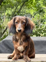 processed/af3b9fb2-5257-46c0-a12a-5532cfabd74e/facility/2fb39300-e118-4b8f-944b-d26a327590d8