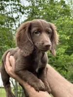 processed/af3b9fb2-5257-46c0-a12a-5532cfabd74e/facility/96d340b7-e12f-41a4-ad82-d8a28886bbd7