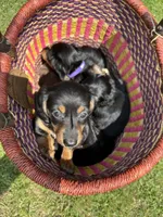 processed/af3b9fb2-5257-46c0-a12a-5532cfabd74e/facility/af985b04-f5eb-4061-b1ab-3ad40f66dffc