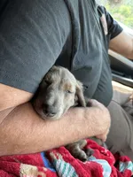 processed/af3b9fb2-5257-46c0-a12a-5532cfabd74e/facility/b3a47272-d3e3-4ff2-8ca7-12e4923968a5