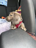 processed/af3b9fb2-5257-46c0-a12a-5532cfabd74e/facility/d33360f3-74f4-47de-b4dd-6774ce1b91b8