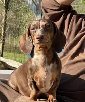 processed/af3b9fb2-5257-46c0-a12a-5532cfabd74e/facility/d49ab9e2-02b9-4774-a287-3e472b339f00