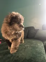 processed/af47338a-572b-4a94-840b-b689145cbf6d/listing/5c6aad94-db44-479c-9abd-c4f9ec57ff32/10b328b4-d565-47ba-9cf0-f6bf4bac3a89