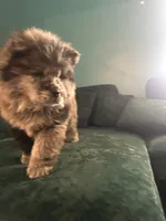 processed/af47338a-572b-4a94-840b-b689145cbf6d/listing/5c6aad94-db44-479c-9abd-c4f9ec57ff32/395e5169-3585-453f-8b26-ceb2d15ea7d4