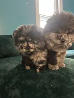 processed/af47338a-572b-4a94-840b-b689145cbf6d/listing/5c6aad94-db44-479c-9abd-c4f9ec57ff32/7edc6cc2-7d77-4a42-9c76-73cac2d34606