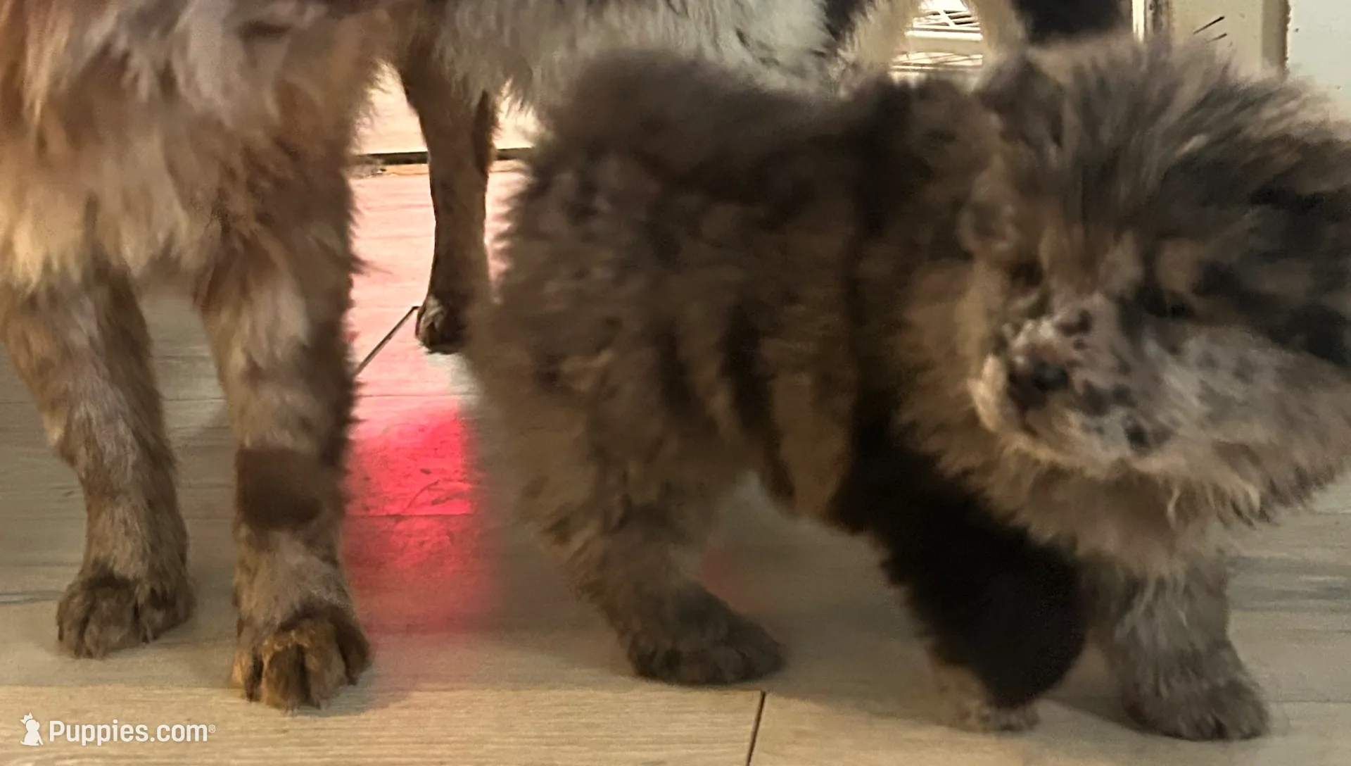 processed/af47338a-572b-4a94-840b-b689145cbf6d/listing/5c6aad94-db44-479c-9abd-c4f9ec57ff32/867fb050-aa32-4ee1-a672-d51cd77b6466