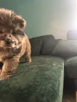 processed/af47338a-572b-4a94-840b-b689145cbf6d/listing/5c6aad94-db44-479c-9abd-c4f9ec57ff32/95ececac-a182-4d85-a2db-a18ad45a0bfd