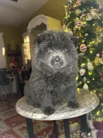 processed/af47338a-572b-4a94-840b-b689145cbf6d/listing/bbd13731-7de5-43c7-aab6-1a59123af605/30d552bd-8c30-412b-a824-8383b7bf97bd