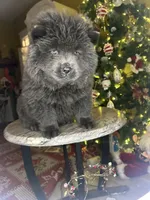 processed/af47338a-572b-4a94-840b-b689145cbf6d/listing/bbd13731-7de5-43c7-aab6-1a59123af605/6c4bc722-7793-4c9d-a24b-5cb441c0819c