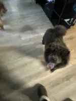 processed/af47338a-572b-4a94-840b-b689145cbf6d/listing/bbd13731-7de5-43c7-aab6-1a59123af605/95604b87-7374-4355-bcb5-41ded931a620