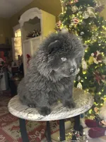 processed/af47338a-572b-4a94-840b-b689145cbf6d/listing/bbd13731-7de5-43c7-aab6-1a59123af605/ac3cb7fe-2d1a-408d-b566-d6d59ce2c822