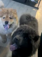 processed/af47338a-572b-4a94-840b-b689145cbf6d/listing/bbd13731-7de5-43c7-aab6-1a59123af605/aef384c5-b85a-4fd5-a119-6604ebdfea52