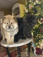 processed/af47338a-572b-4a94-840b-b689145cbf6d/listing/f7dfdff2-7a5c-47c7-bdc3-5ccc25a5762e/81d6d015-fb5a-4fad-8cbf-5b7e09be9b63