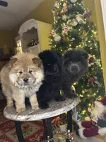 processed/af47338a-572b-4a94-840b-b689145cbf6d/listing/f7dfdff2-7a5c-47c7-bdc3-5ccc25a5762e/8b771616-df36-411b-a959-4351b0068aa0