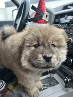 processed/af47338a-572b-4a94-840b-b689145cbf6d/listing/f7dfdff2-7a5c-47c7-bdc3-5ccc25a5762e/fff98e40-c54b-4589-bc6a-1e44630c6796