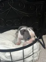 processed/af4ac9a8-b17a-4876-9200-8f52d621bfa2/listing/113b1229-e624-4981-aee7-02992cb45b88/1f1fccc7-9f70-467e-b062-1c71a2d766a5