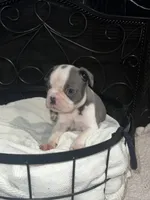 processed/af4ac9a8-b17a-4876-9200-8f52d621bfa2/listing/113b1229-e624-4981-aee7-02992cb45b88/34d46e64-01f4-49ec-b688-efd8abd785a9