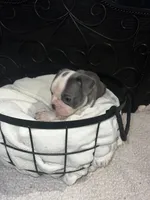 processed/af4ac9a8-b17a-4876-9200-8f52d621bfa2/listing/113b1229-e624-4981-aee7-02992cb45b88/6cbf060f-0199-4402-bf3b-9a868b0970d8